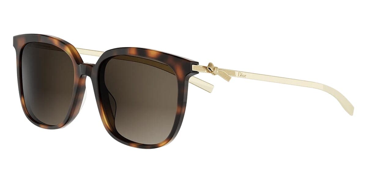 Dior Bow S1I 20F1
